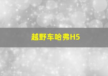 越野车哈弗H5