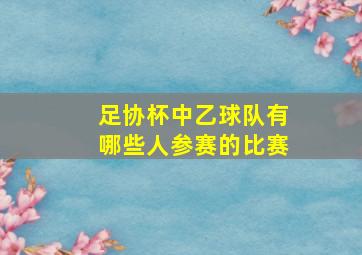 足协杯中乙球队有哪些人参赛的比赛