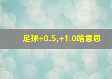 足球+0.5,+1.0啥意思