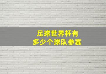 足球世界杯有多少个球队参赛