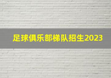 足球俱乐部梯队招生2023