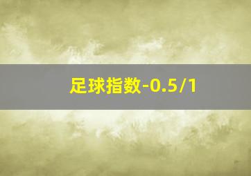 足球指数-0.5/1