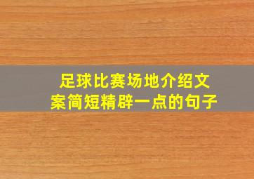 足球比赛场地介绍文案简短精辟一点的句子