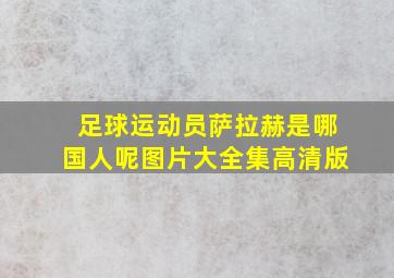 足球运动员萨拉赫是哪国人呢图片大全集高清版