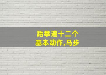 跆拳道十二个基本动作,马步