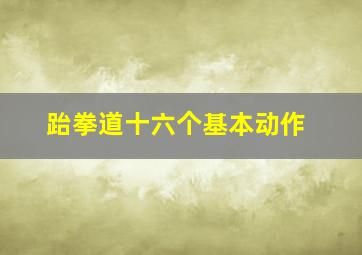 跆拳道十六个基本动作