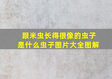 跟米虫长得很像的虫子是什么虫子图片大全图解