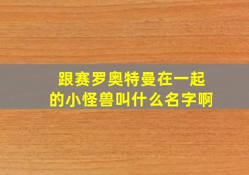 跟赛罗奥特曼在一起的小怪兽叫什么名字啊