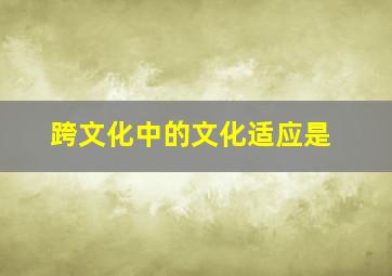 跨文化中的文化适应是