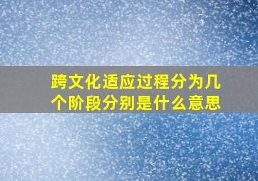 跨文化适应过程分为几个阶段分别是什么意思