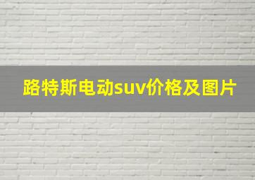 路特斯电动suv价格及图片