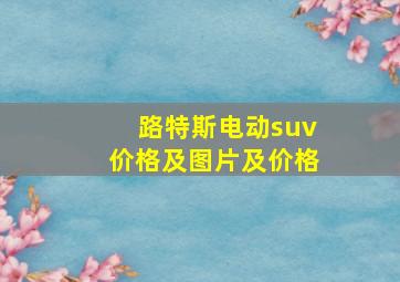 路特斯电动suv价格及图片及价格