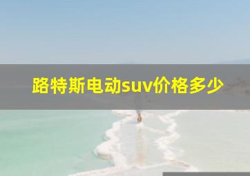 路特斯电动suv价格多少