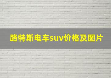 路特斯电车suv价格及图片