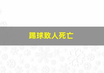 踢球致人死亡