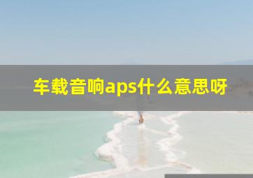 车载音响aps什么意思呀