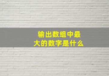 输出数组中最大的数字是什么