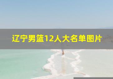 辽宁男篮12人大名单图片