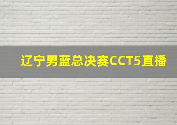 辽宁男蓝总决赛CCT5直播