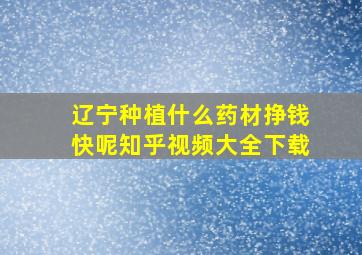 辽宁种植什么药材挣钱快呢知乎视频大全下载