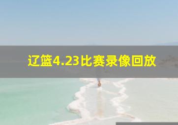 辽篮4.23比赛录像回放