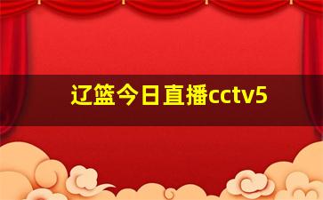 辽篮今日直播cctv5