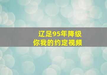 辽足95年降级你我的约定视频