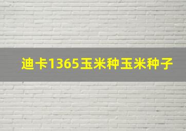 迪卡1365玉米种玉米种子