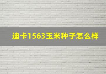 迪卡1563玉米种子怎么样