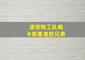 迷你特工队帕卡斯是谁的兄弟