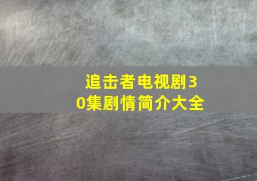 追击者电视剧30集剧情简介大全