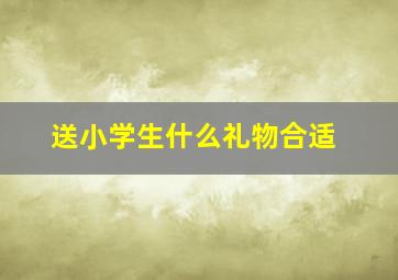 送小学生什么礼物合适