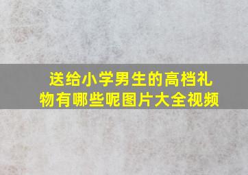 送给小学男生的高档礼物有哪些呢图片大全视频