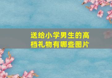 送给小学男生的高档礼物有哪些图片