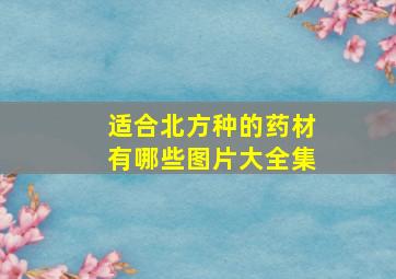 适合北方种的药材有哪些图片大全集