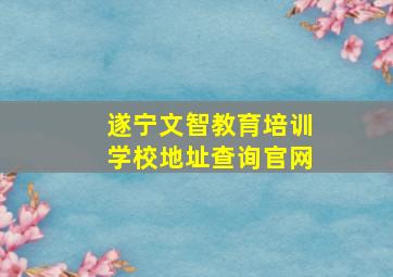 遂宁文智教育培训学校地址查询官网