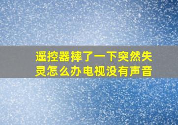 遥控器摔了一下突然失灵怎么办电视没有声音