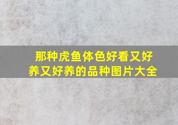 那种虎鱼体色好看又好养又好养的品种图片大全