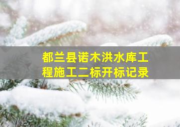 都兰县诺木洪水库工程施工二标开标记录