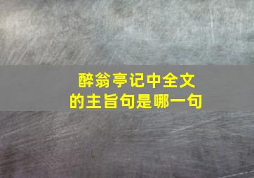 醉翁亭记中全文的主旨句是哪一句