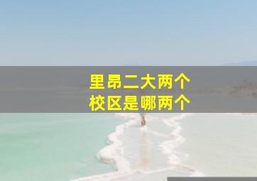 里昂二大两个校区是哪两个