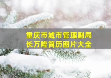 重庆市城市管理副局长万隆简历图片大全