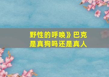 野性的呼唤》巴克是真狗吗还是真人