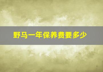 野马一年保养费要多少