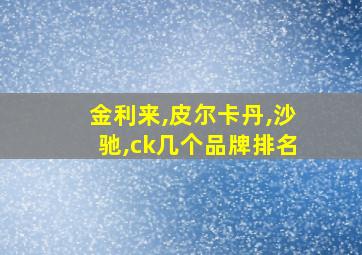 金利来,皮尔卡丹,沙驰,ck几个品牌排名