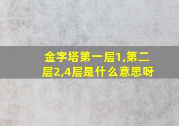 金字塔第一层1,第二层2,4层是什么意思呀