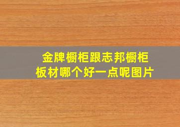 金牌橱柜跟志邦橱柜板材哪个好一点呢图片