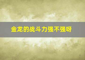 金龙的战斗力强不强呀