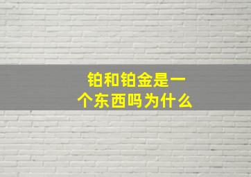 铂和铂金是一个东西吗为什么