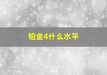 铂金4什么水平